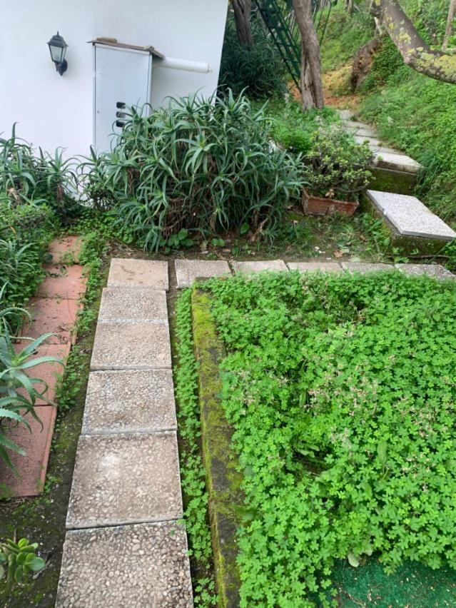 Villa Panorama 마사루브렌세 외부 사진